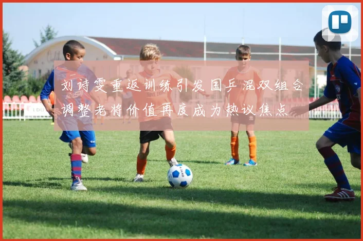 刘诗雯重返训练引发国乒混双组合调整老将价值再度成为热议焦点